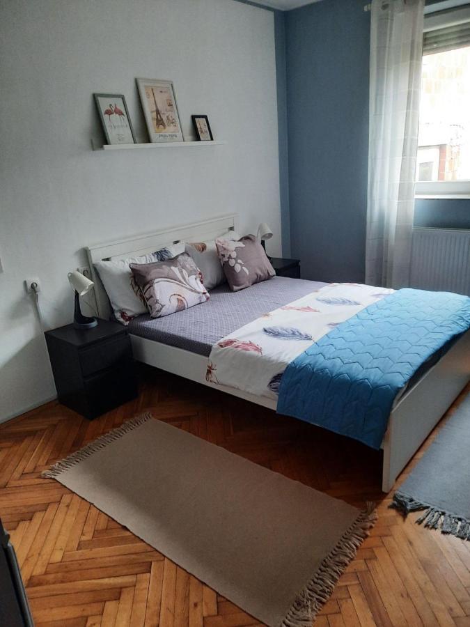 Apartmani Biljana Lazic Врнячка-Баня Экстерьер фото